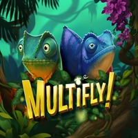 Multifly